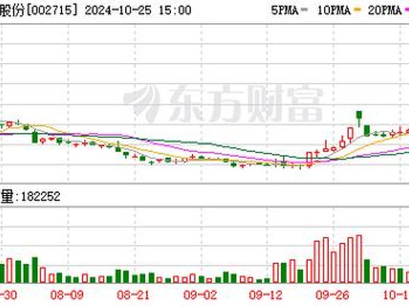 002715(002715历史交易数据)-第1张图片-树涛168配资网_配资炒股平台及公司_股票配资门户网