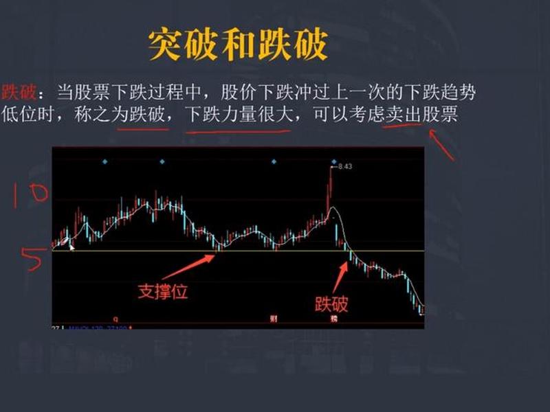 炒股入门知识视频教程(炒股入门知识视频教程下载)-第1张图片-树涛168配资网_配资炒股平台及公司_股票配资门户网