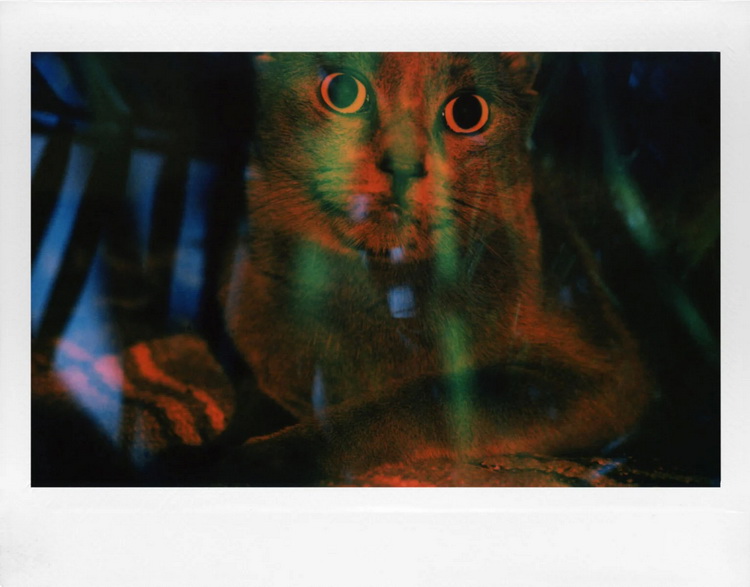 是时候扔掉富士了 Lomography打造了“地球更好的拍立得”-第12张图片-科技快讯