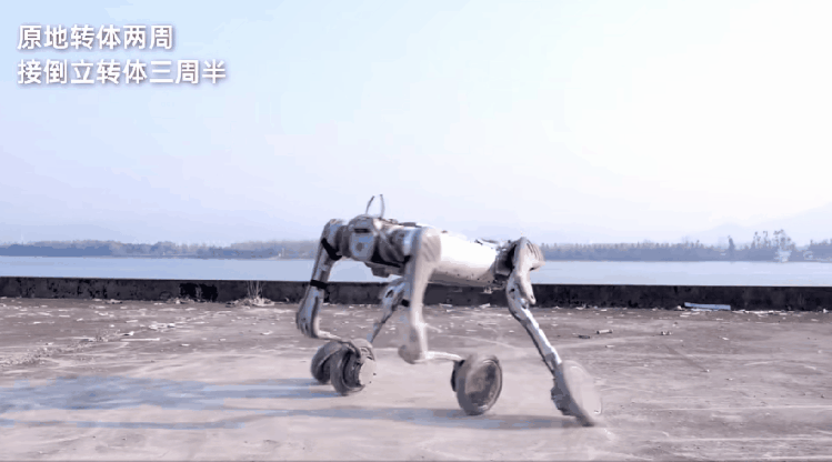 最近这一条机器“狗”秀翻了！不仅上山入水，还能跳街舞！-第2张图片-科技快讯