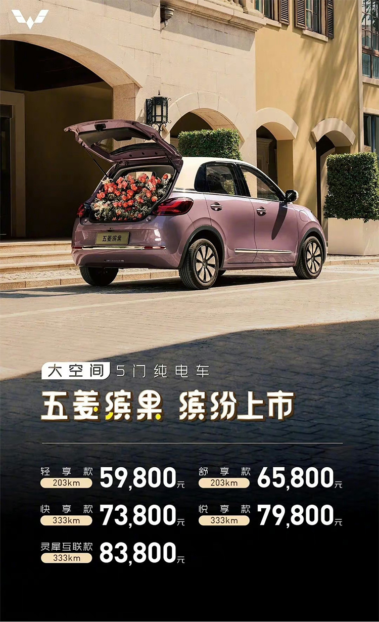 五菱缤果正式上市：共5款车型 5.98万元起售-第1张图片-科技快讯