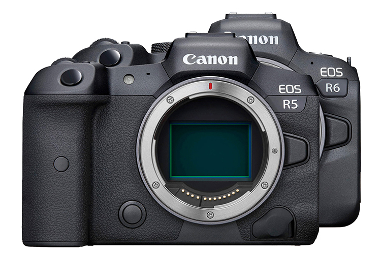 佳能EOS R5、R6迎来重要固件更新 获得R3对焦功能-第1张图片-科技快讯