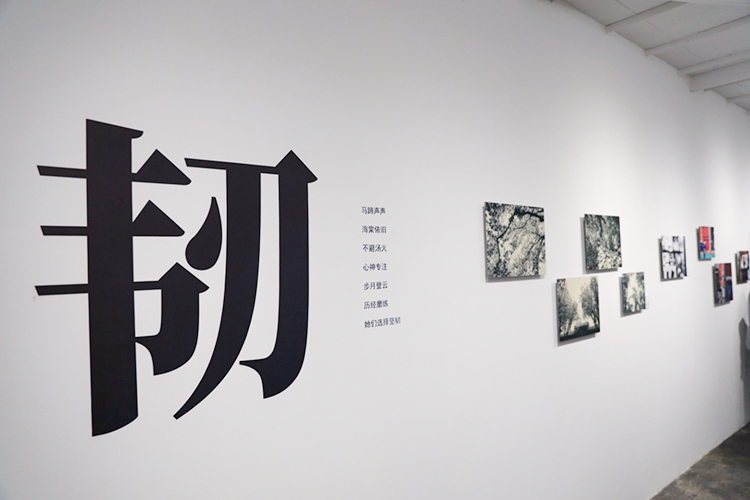 康宁大猩猩举办摄影艺术展 致敬当代中国女性的坚韧精神与力量-第3张图片-科技快讯