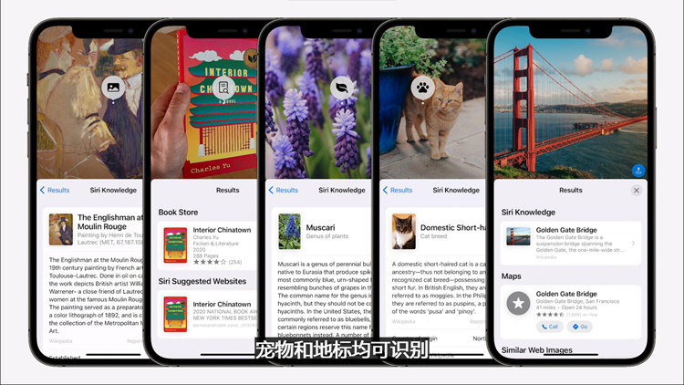 一文看完苹果WWDC21：系统更人性，硬件党很失望-第6张图片-科技快讯