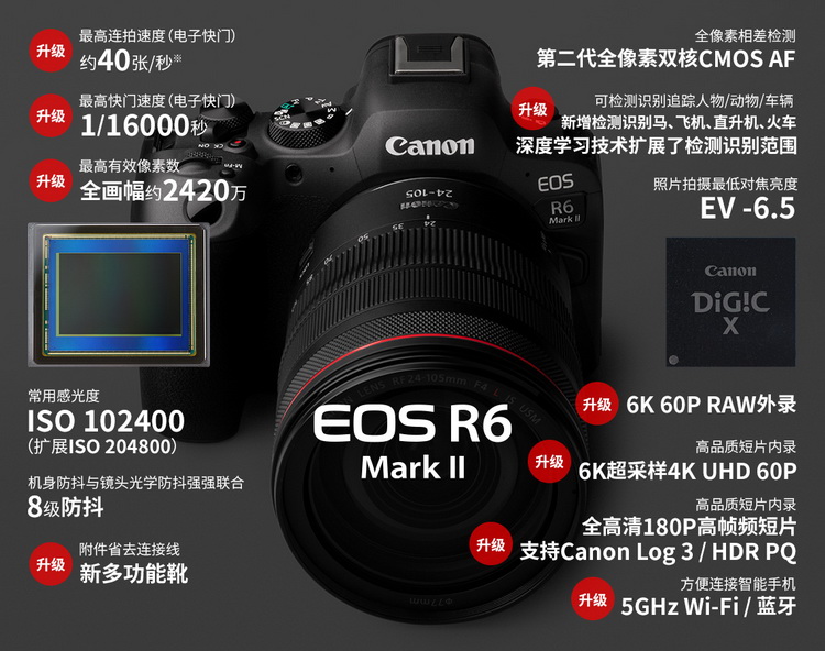 佳能发布EOS R6 Mark II 像素增至24MP 连拍40FPS-第1张图片-科技快讯
