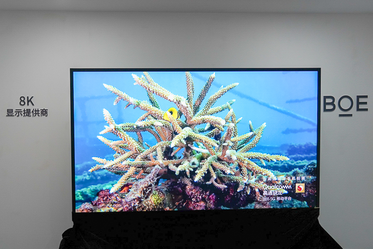 用"芯"拍出震撼照片：高通骁龙影像展揭秘拍摄奥妙-第3张图片-科技快讯
