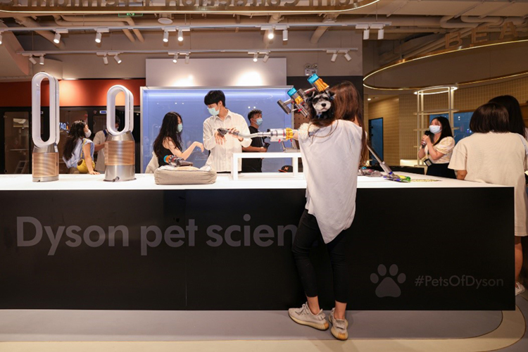 戴森整屋解决方案：深入调研科学养宠新理念 以创新科技提供宠物清洁新选择-第1张图片-科技快讯