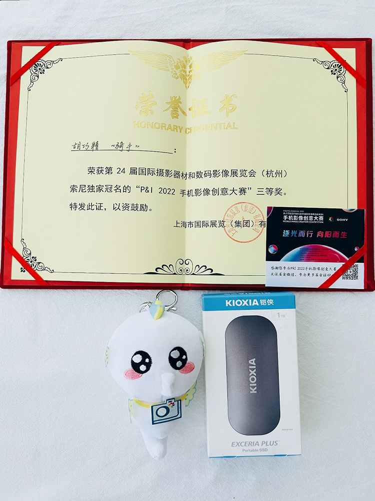 手机大片齐上阵 P&amp;I手机影像创意大赛鸣金收官-第5张图片-科技快讯