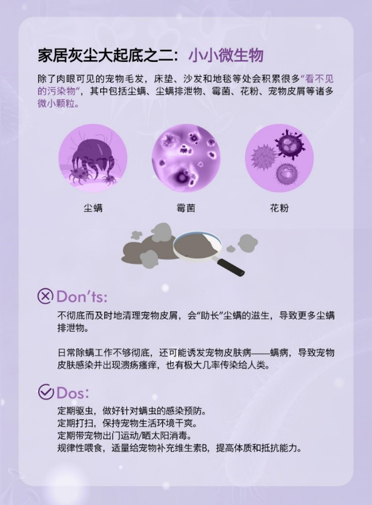 戴森整屋解决方案：深入调研科学养宠新理念 以创新科技提供宠物清洁新选择-第5张图片-科技快讯