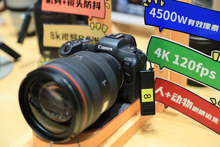 佳能EOS R5与R6体验会圆满落幕 闪迪移动固态硬盘助阵展示影像存储优选方案-第3张图片-科技快讯