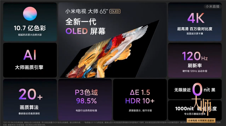 高端电视也有性价比 小米首款OLED电视大师系列发布 售价12999元-第2张图片-科技快讯