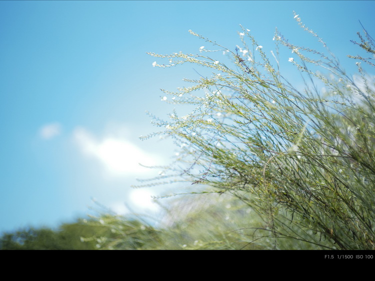 确善能发布HELIAR classic 50mm F1.5 外观、光学、成像全复古-第7张图片-科技快讯