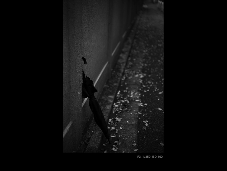 确善能发布HELIAR classic 50mm F1.5 外观、光学、成像全复古-第13张图片-科技快讯