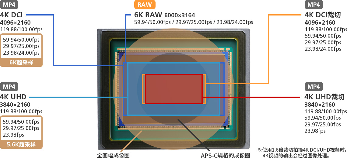 佳能发布EOS R3相机 良心定价 只要36999元-第4张图片-科技快讯