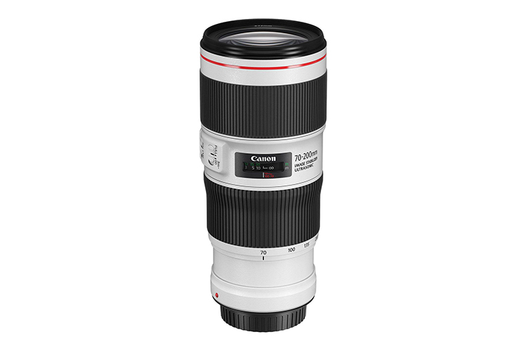 佳能停产二代小小白和EF85mm F1.2L II 单反卡口镜头步入末期-第1张图片-科技快讯