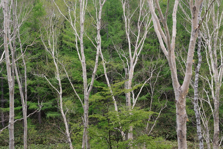 理光发布HD Pentax-DA* 16-50mm F2.8镜头 全新光学设计-第9张图片-科技快讯