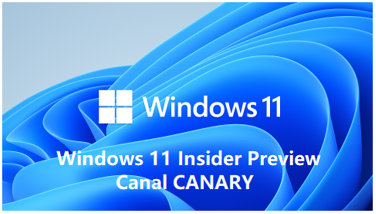 还没用上Windows 11？Windows 12或将开启内测-第1张图片-科技快讯