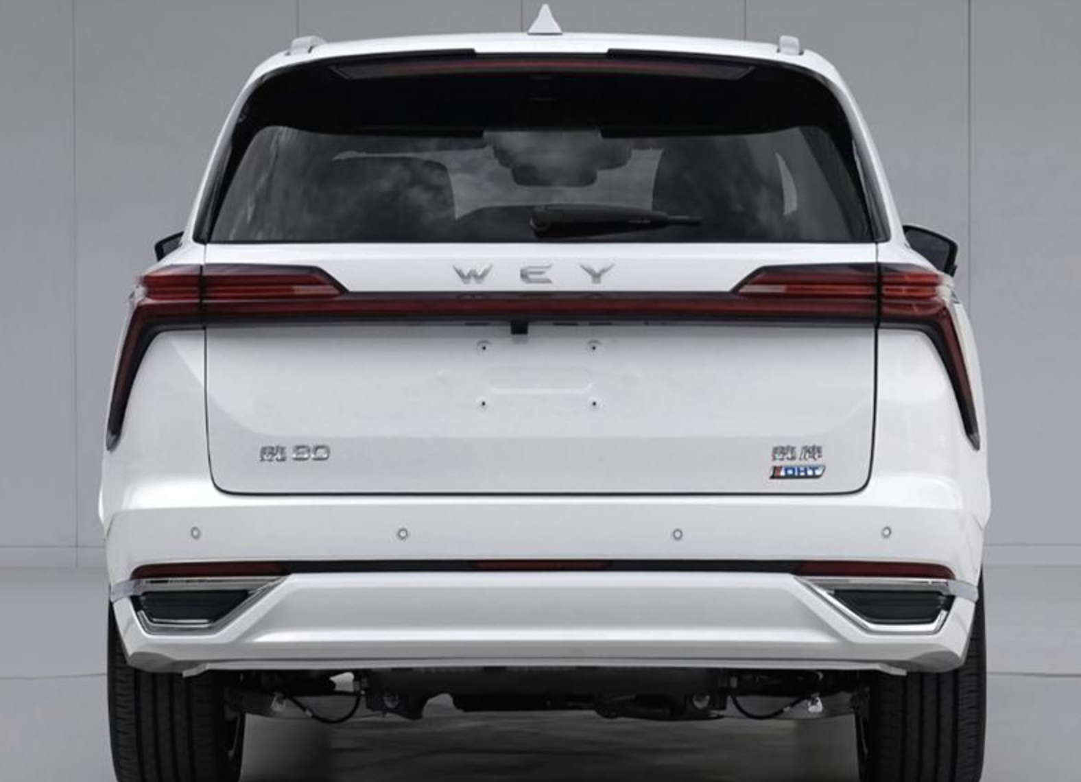 魏80动力数据曝光，定位中大型SUV，纯电续航里程180km、或35万起售-第2张图片-科技快讯