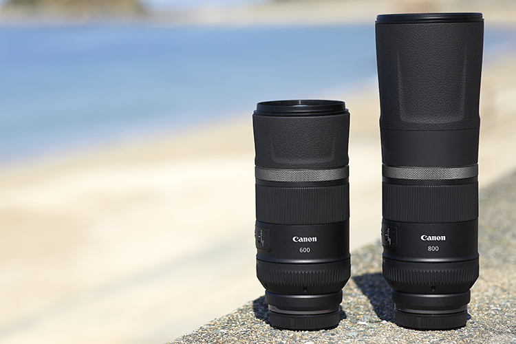 佳能EOS R5、R6双机同步发布 用8K视频改写无反相机市场-第10张图片-科技快讯