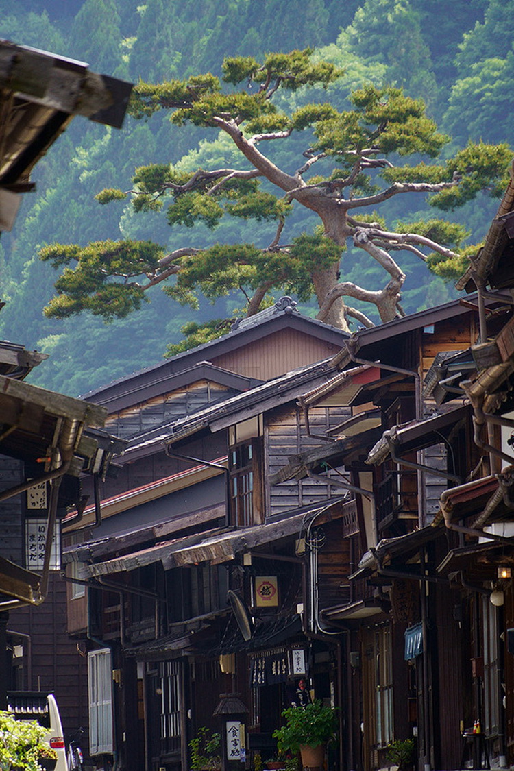 腾龙发布新天涯镜18-300mm F/3.5-6.3 提供E、X卡口-第7张图片-科技快讯