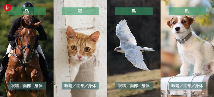 佳能发布EOS R6 Mark II 像素增至24MP 连拍40FPS-第5张图片-科技快讯