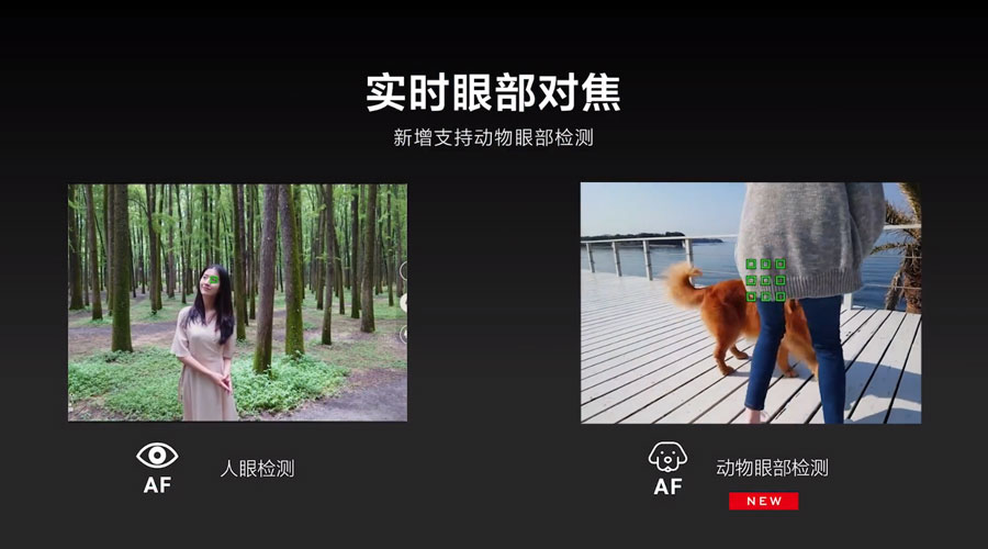 为速度而生   索尼发布Xperia 1 Ⅱ和Xperia 5 Ⅱ两款旗舰手机-第8张图片-科技快讯