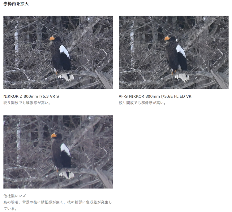 尼康发布Z 800mm f/6.3 VR S镜头 重量2385g 手持利炮-第6张图片-科技快讯