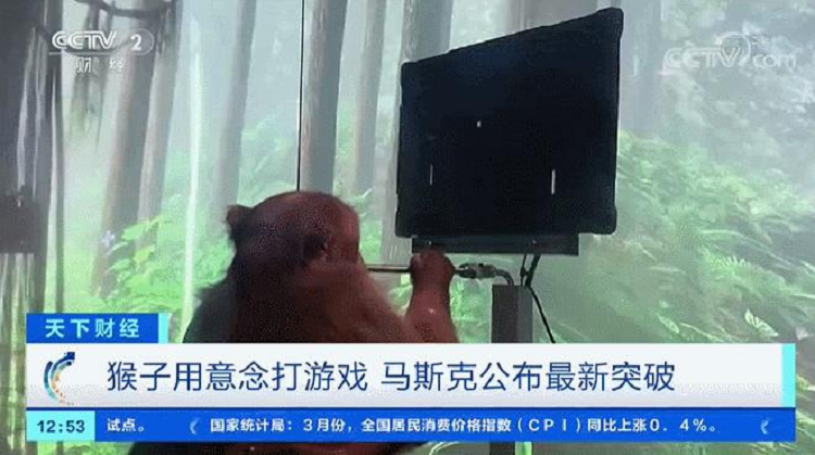 马斯克脑机公司将对人体试验，在大脑中植入脑机接口，数字版永生？-第2张图片-科技快讯