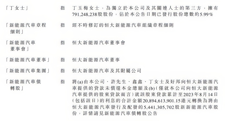 树倒鸟散还是另谋出路？中东投资与恒大破产疑云-第6张图片-科技快讯