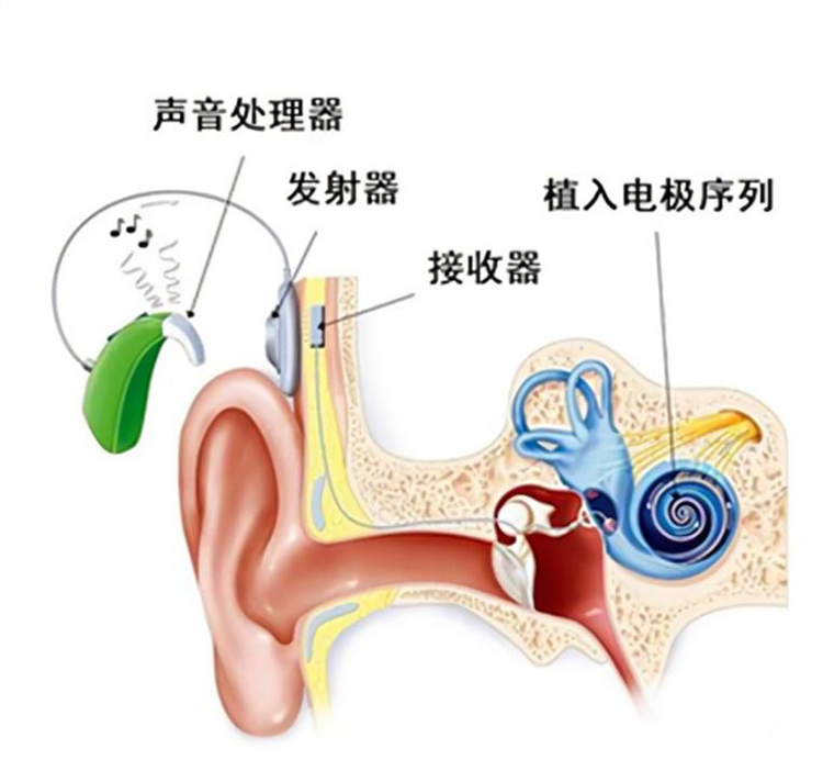 当我们用AI"复活"故人时，我们想要的究竟是什么-第10张图片-科技快讯
