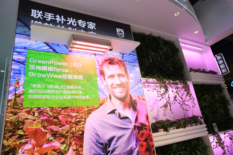 CIIE2023丨昕诺飞亮相进博会，多款产品"以光筑梦"绘新蓝图-第4张图片-科技快讯