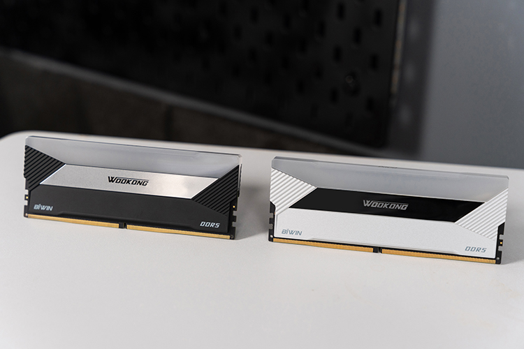 国产PC硬件开始攀登高峰 佰维WOOKONG系列DX100 DDR5内存全新上架-第3张图片-科技快讯