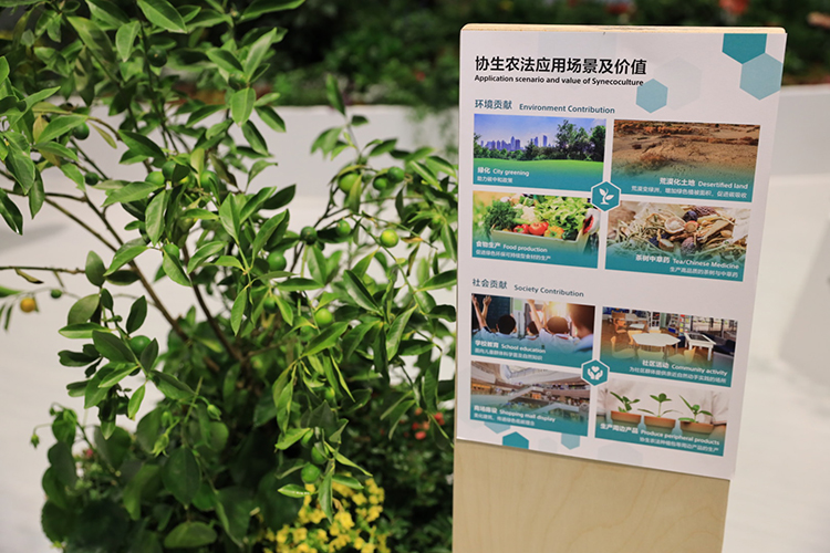 CIIE2023丨关注创新环境技术 索尼进博会上首发"索尼协生农法"智能协生APP-第1张图片-科技快讯