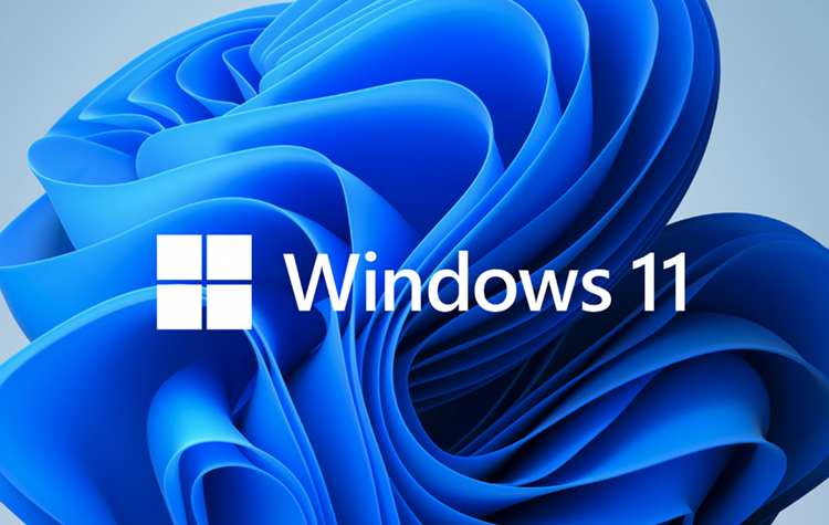感觉硬盘速度变慢？可能是Windows 11更新补丁的错！-第1张图片-科技快讯