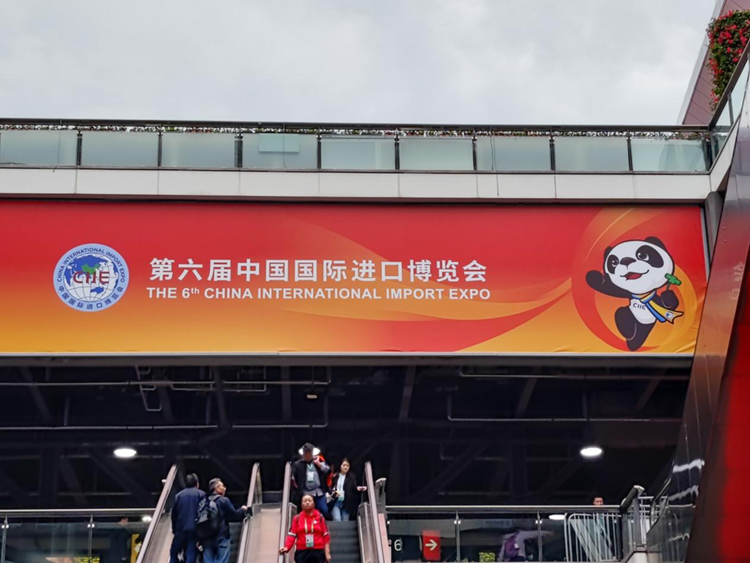从机器人骑士到氢燃料汽车，进博会如何引领未来生活？-第19张图片-科技快讯