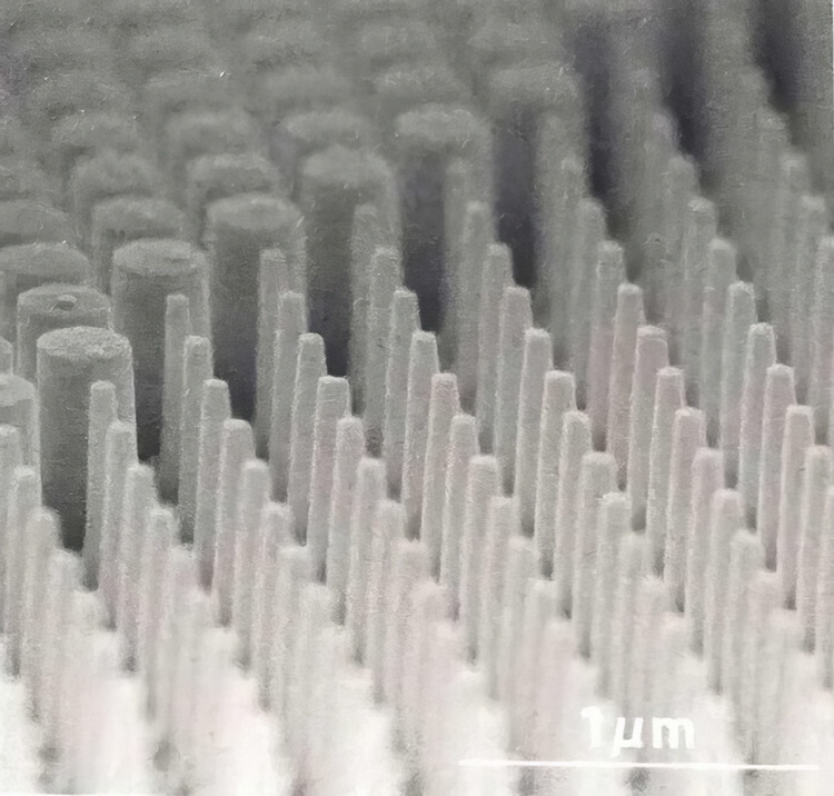 佳能展示黑科技镜片Meta Lens 饼干头不是梦-第4张图片-科技快讯