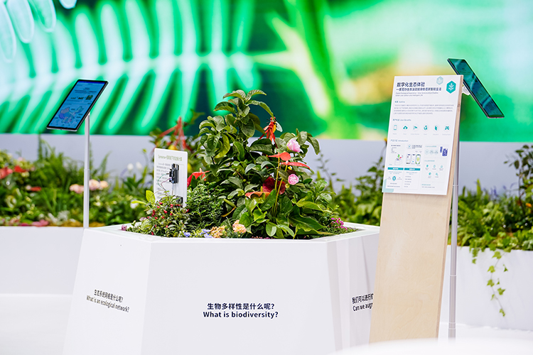 CIIE2023丨关注创新环境技术 索尼进博会上首发"索尼协生农法"智能协生APP-第2张图片-科技快讯