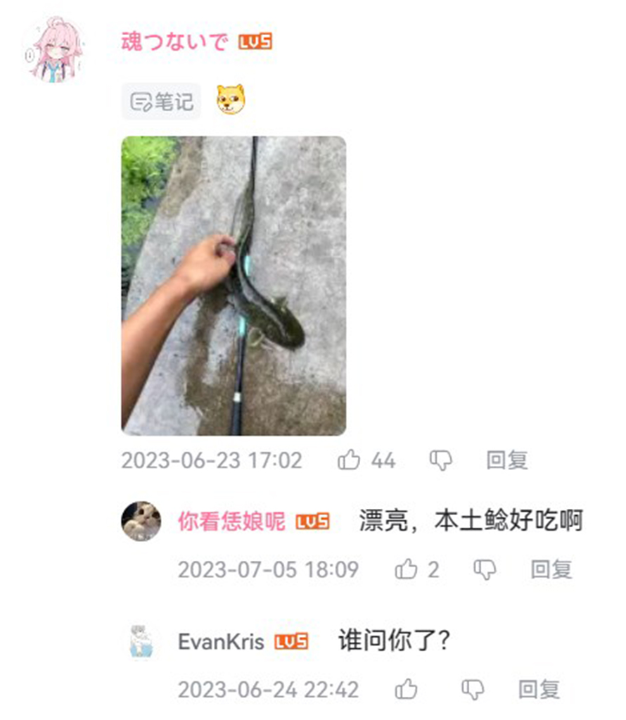苹果不再赠送的logo贴纸，这些年，果粉们都把它贴哪去了？-第18张图片-科技快讯
