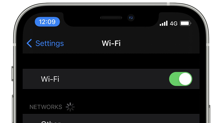 曝iPhone 17 Pro将会采用苹果自研Wi-Fi 7芯片，但射频芯片还无望-第1张图片-科技快讯