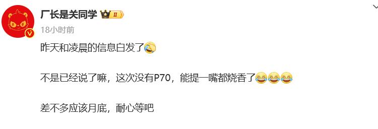 疑似华为P70标准版谍照曝光：不是素皮，Deco装饰与背板均是玻璃材质-第5张图片-科技快讯