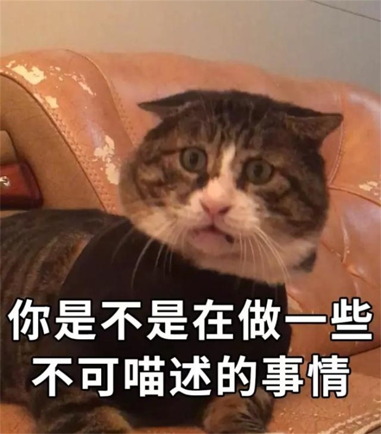 ICQ用28年从“互联网活化石”走向终点，是谁杀死了它？-第7张图片-科技快讯
