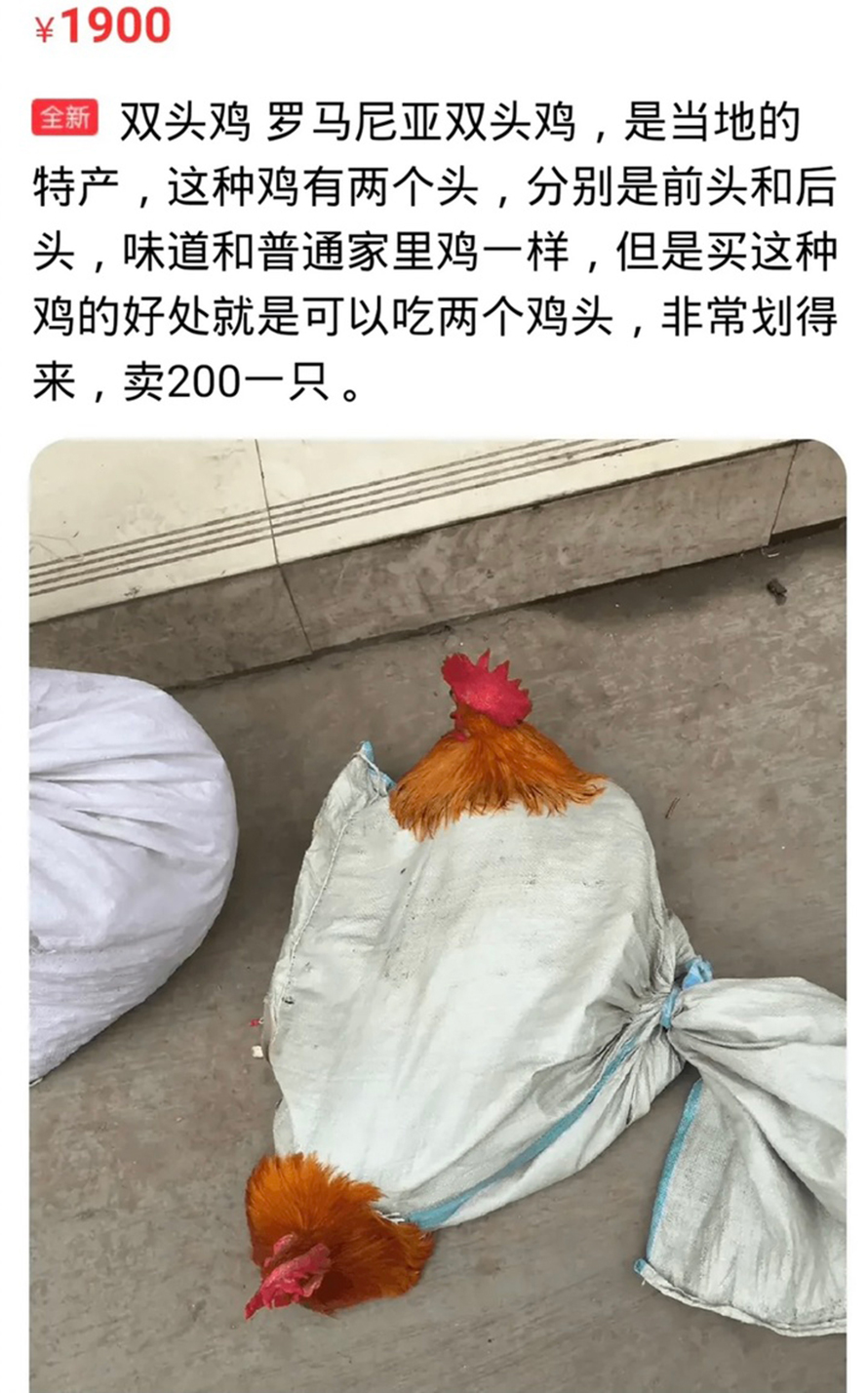 年轻人疯狂涌入闲鱼，当大刀队、当奇葩卖家、当野生大文豪-第18张图片-科技快讯