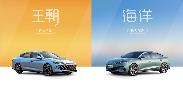 6月国产新能源汽车销量放榜，比亚迪连续4个月夺冠-第6张图片-科技快讯