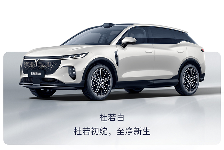 岚图知音四款配色官图曝光 哪款颜色更受欢迎-第1张图片-科技快讯