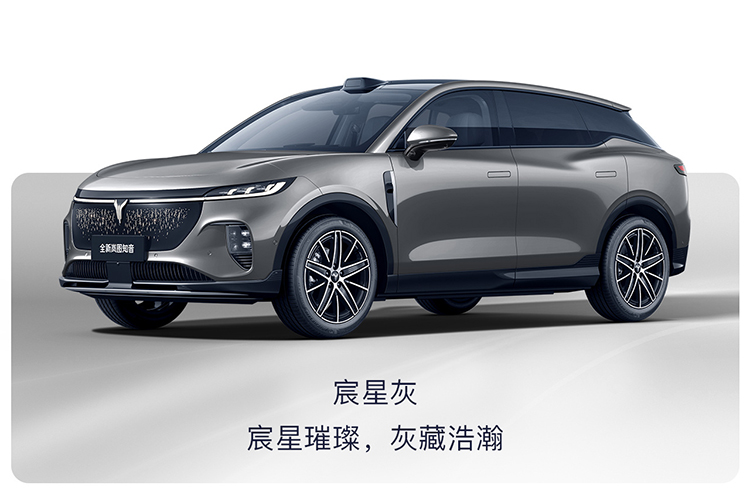 岚图知音四款配色官图曝光 哪款颜色更受欢迎-第4张图片-科技快讯