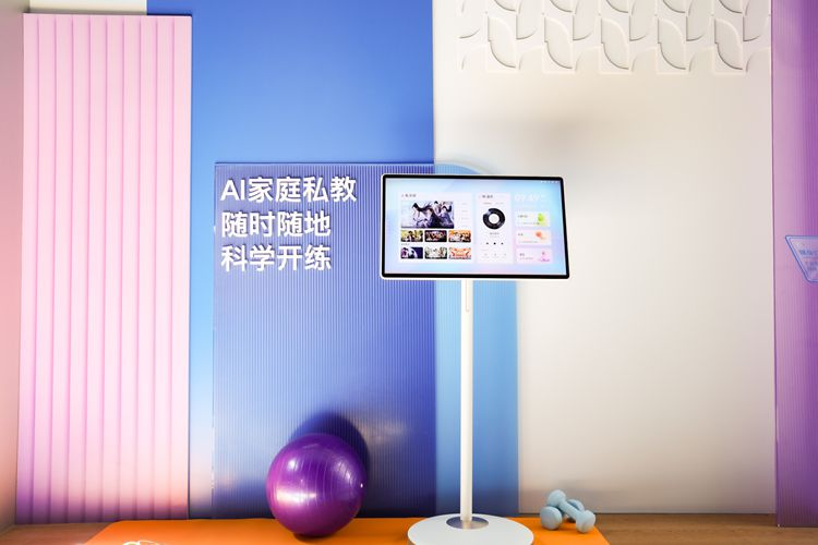 2024年国内智能家居行业回顾：国补助力，虚惊一场-第17张图片-科技快讯