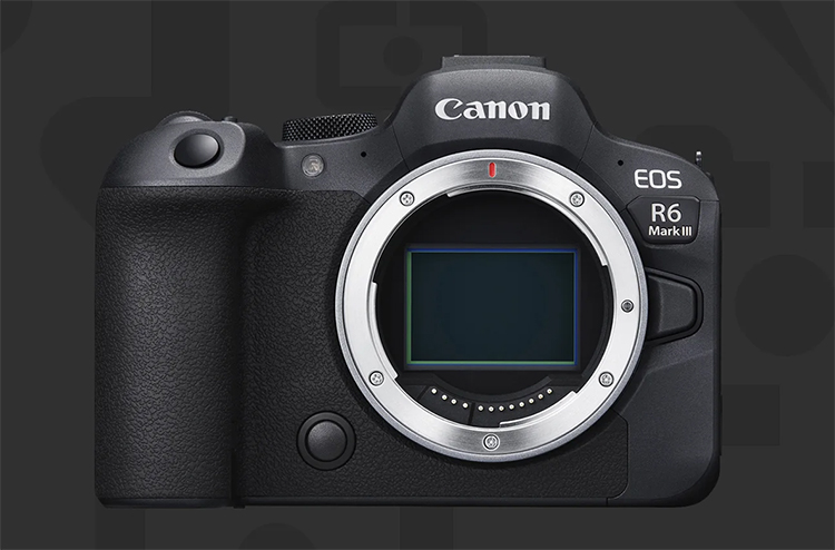 新机新镜都可期 佳能EOS R6 Mark III和RF 300-600mm F5.6L IS U *** 蓄势待发-第1张图片-科技快讯