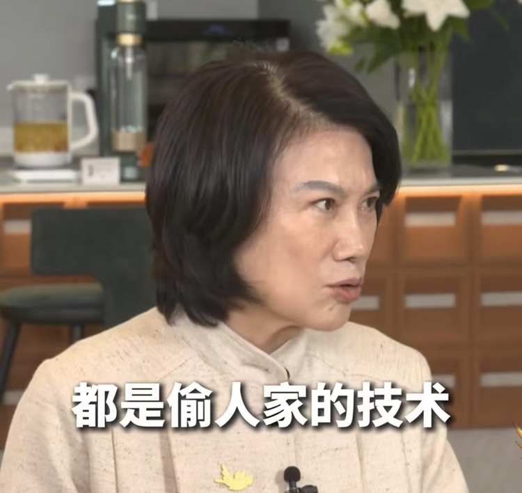 雷军无语，董明珠嘲讽小米汽车，称格力电车十几年从没有火灾事故-第3张图片-科技快讯