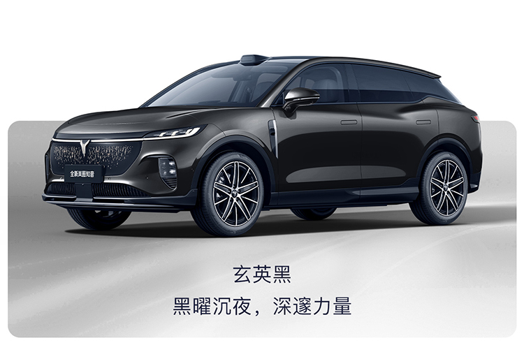 岚图知音四款配色官图曝光 哪款颜色更受欢迎-第3张图片-科技快讯