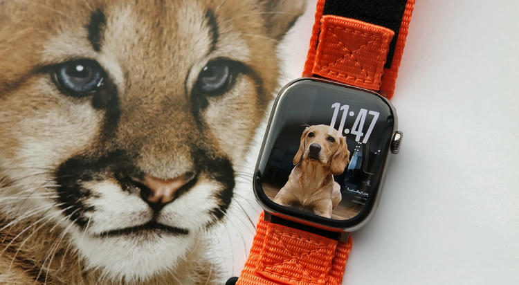 watchOS 26新功能曝光 统一设计界面或将支持血压监测-第3张图片-科技快讯